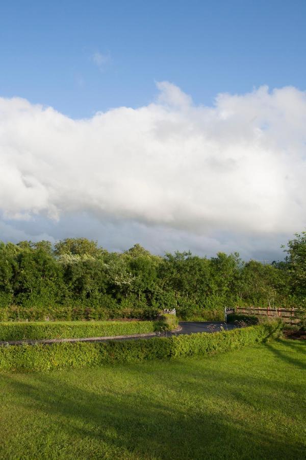 Inviting 4-Bed House In Strokestown Villa ภายนอก รูปภาพ